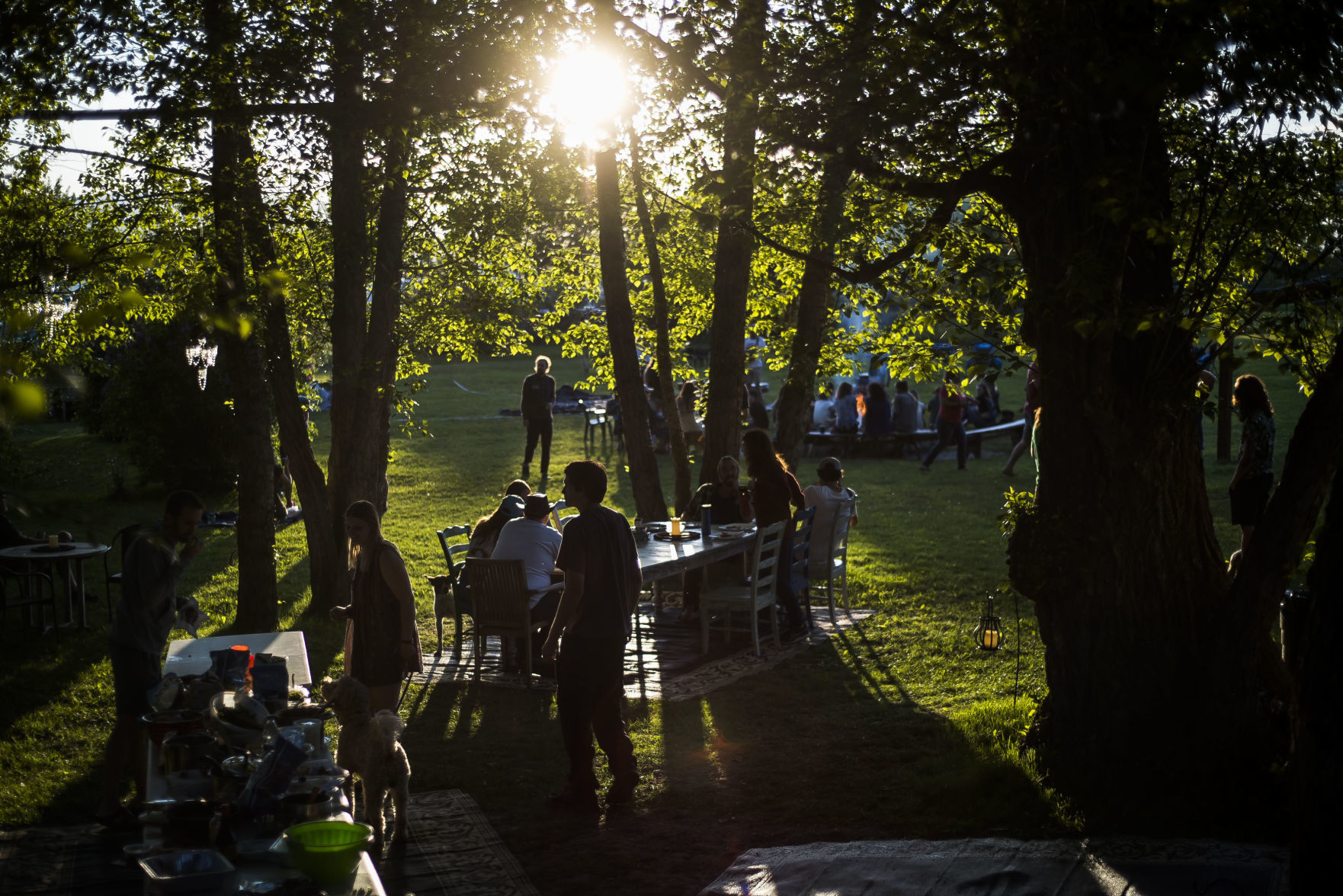 Teton Valley Vanlife Gathering